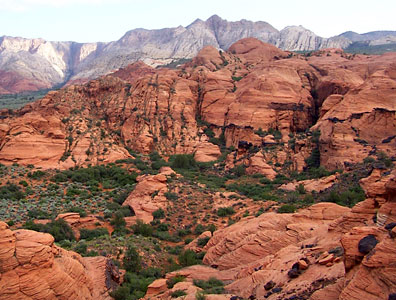 are dogs allowed at snow canyon state park